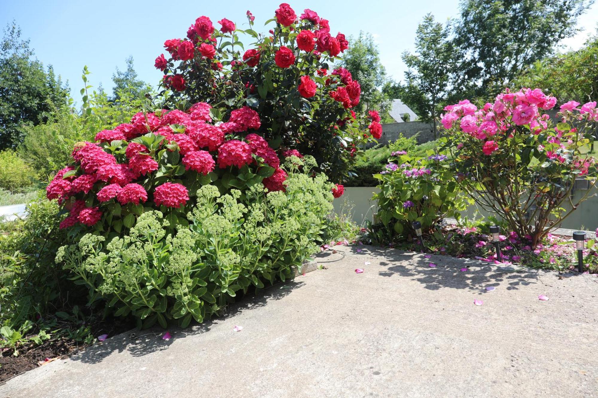 Bed and Breakfast Mon Taj Mahal Gueron Екстер'єр фото